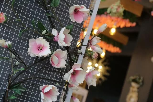 抖音上兰州最火的这些美食,你全都吃了吗?