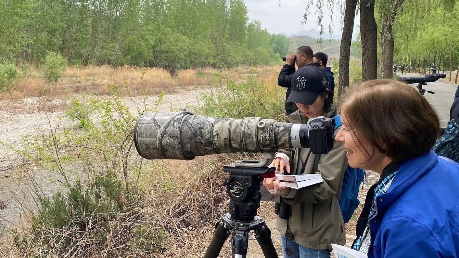 住在北京胡同里的爱尔兰大使,为您讲述她眼中的胡同生活 住在北京胡同里的爱尔兰大使,为您讲述她眼中的胡同生活