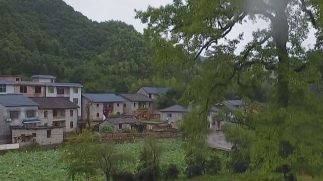 《寻踪英雄路》挺进井冈山