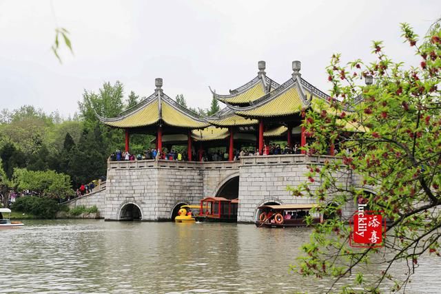 扬州香格里拉花园早茶慈善公益之约,感受皮包