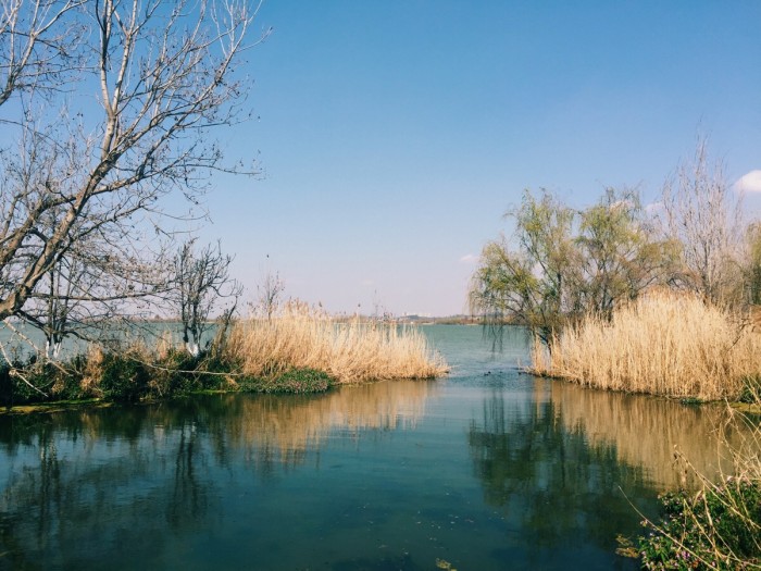 母亲节带妈妈去哪里旅游好 国内最适合带父母