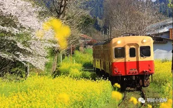 2018年8月日语能力考试报名入口|内附考试信息