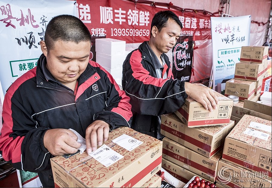 运城万荣:电商走进樱桃园 现采现装发快件