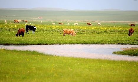 2018年农业补贴会更多?这5项补贴农村专有!