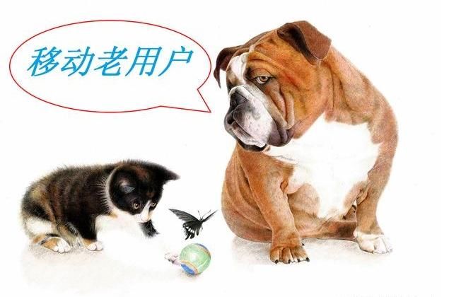 中国移动终于低头,18元月租+31G流量,新老用