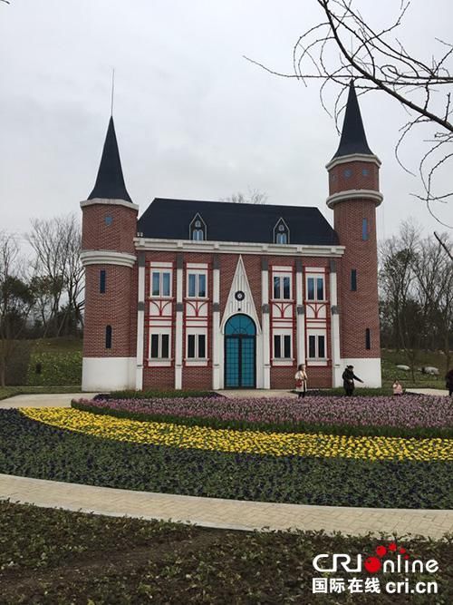 成都彭州2018年通济花海荷兰郁金香节启幕