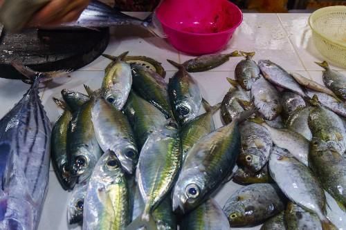 海南三亚早市上的水果和海鲜,海南青芒12元1斤