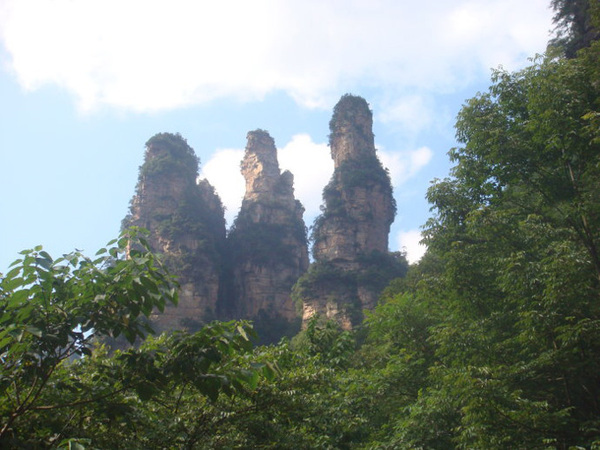 张家界开心旅游,感谢导游|下次来还找你!