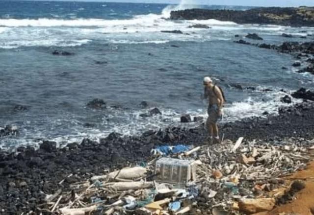 少有人知的世界第8大陆, 面积相当4个日本, 如