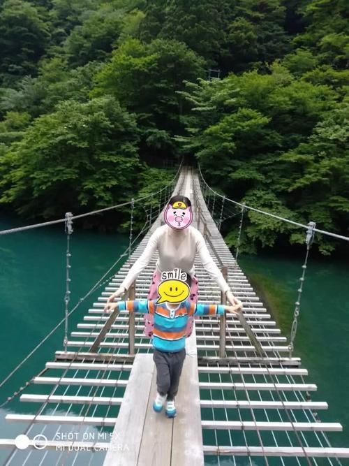 静冈富士周游记之第二天:什么忍野八海?这里才