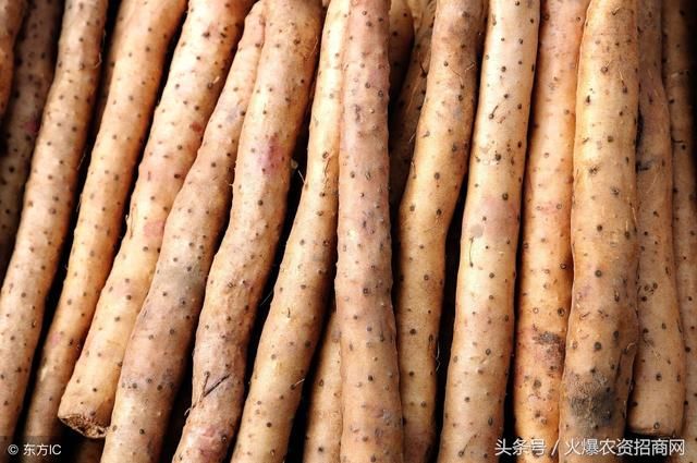 2018年哪些中药材品种会涨价?2018年14种常