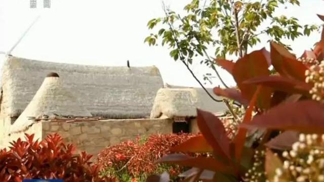 荣成又上央视新闻联播了，为啥？