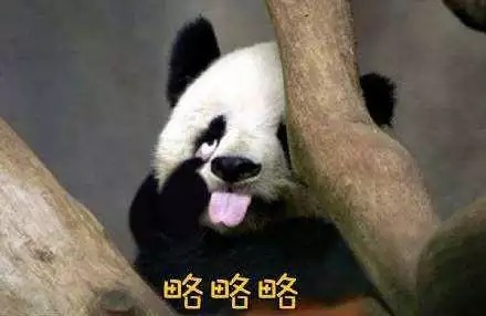 高雄欢迎大陆送熊猫,民进党有点酸