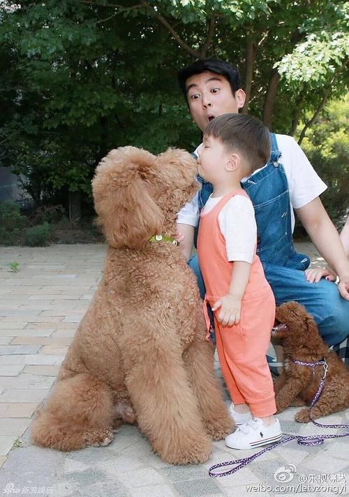 妈超开播:霍思燕家从大别墅搬到平层楼,但嗯哼