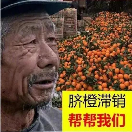 满屏都是"滞销大爷"! 网售套路:打苦情牌卖次品