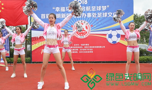 俄罗斯世界杯冠亚军未决雌雄