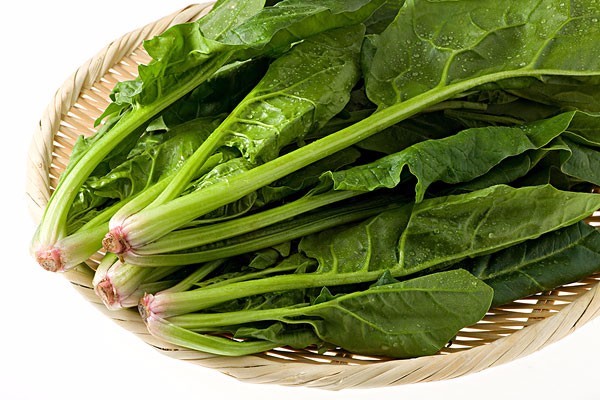 忘不了让大脑更活跃头脑更加年轻