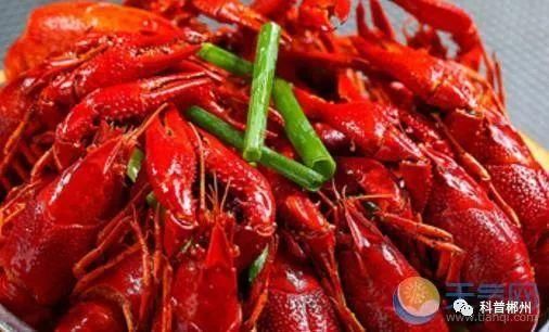 什么人不能吃小龙虾,及吃龙虾的注意事项