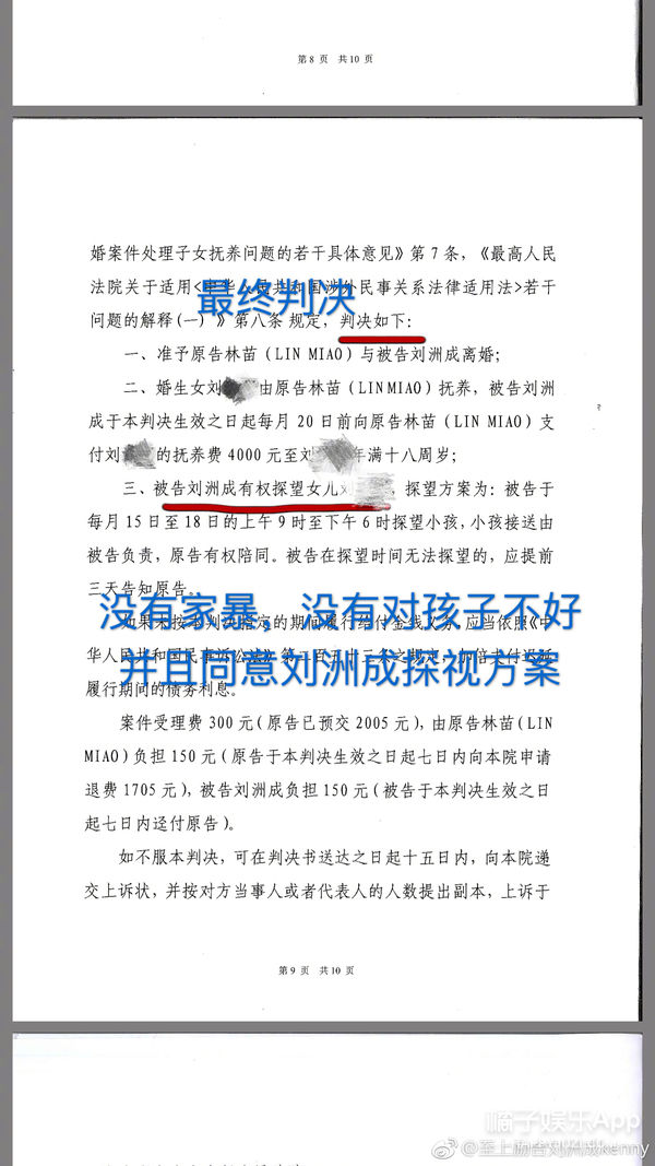 刘洲成离婚案宣判:孩子归女方,男方家暴证据不