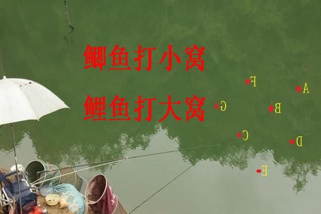 t018ef7913767592135.jpg