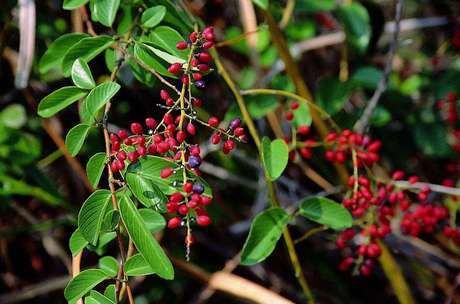 鼻炎用什么药效果最好,三个方法治好鼻炎