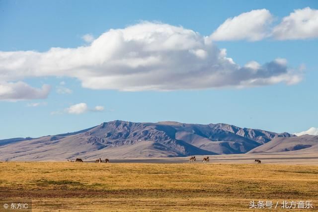 刀郎的《西海情歌》创作背景和凄美爱情故事你