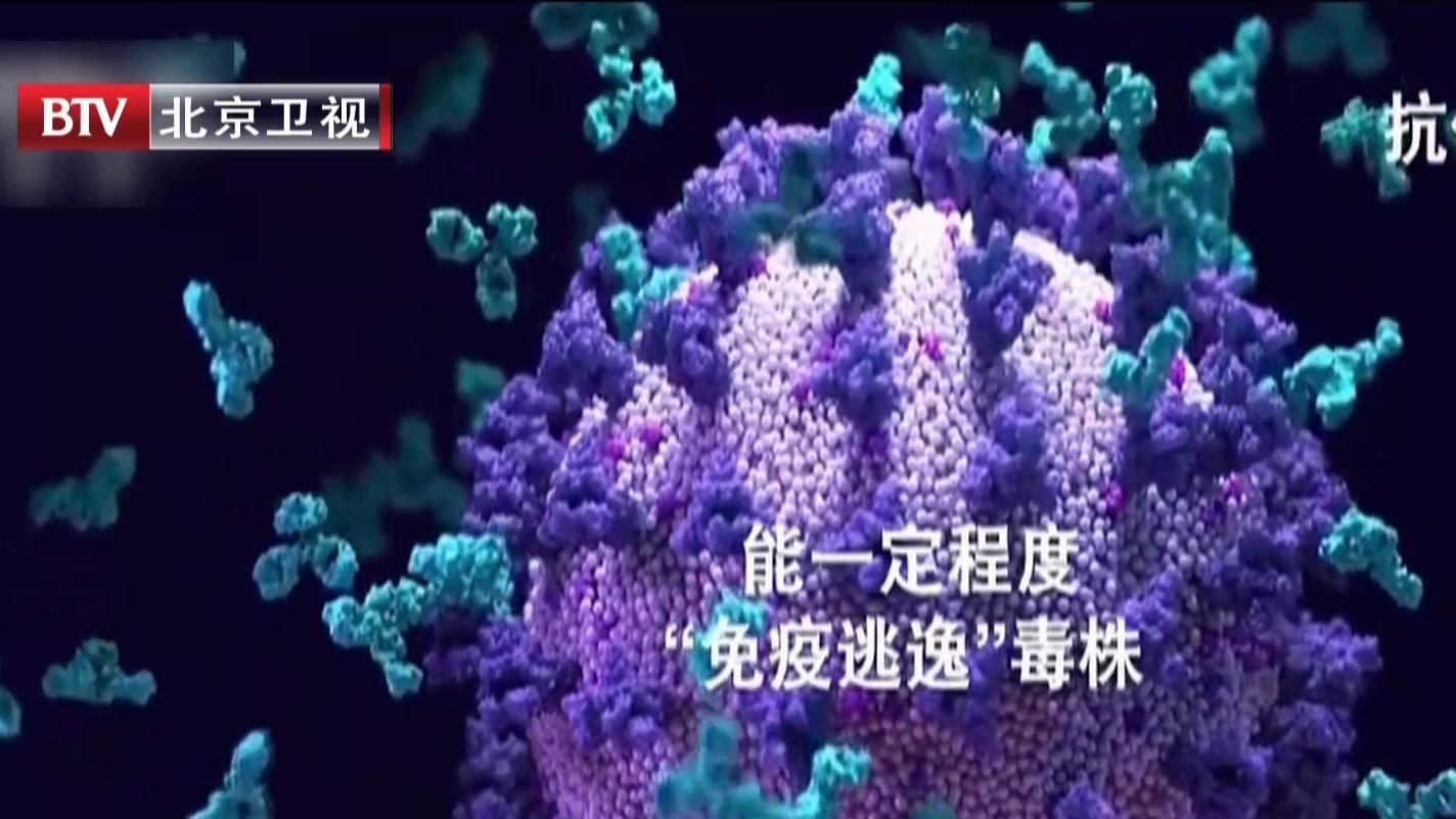 新冠病毒四种“值得关切变异毒株”各具特点