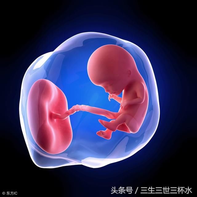 有人通过双顶径和股骨长可以看出胎儿性别,其
