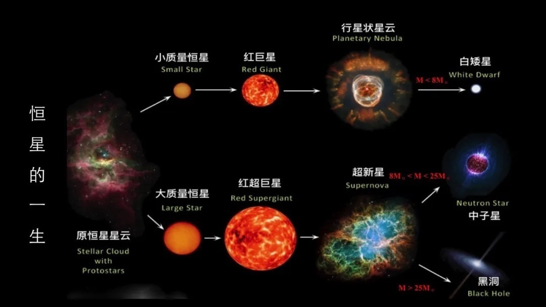 王松:黑洞猎手,发现并改写恒星演化理论