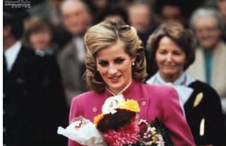 戴安娜与多迪的恋情,令查尔斯心存芥蒂,两个儿