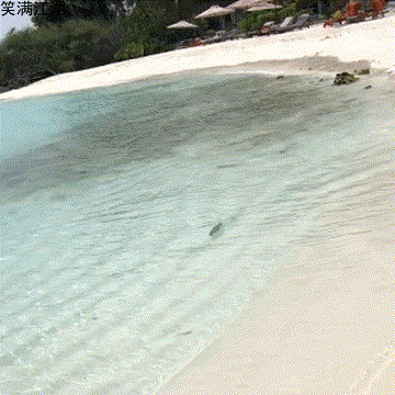 幽默笑话:和女友一起逛超市,超市做活动人很多,我们走散了