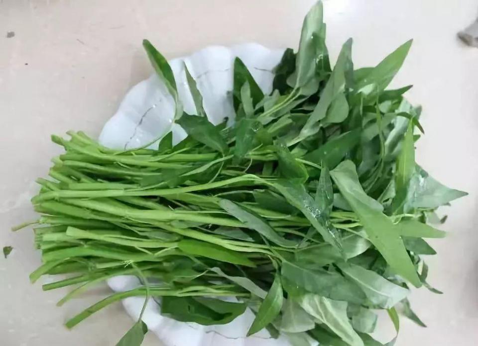 南方人很喜欢买这种空心菜,可以把叶子和梗分开来炒,做成两盘菜.