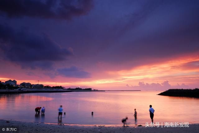 靠不靠谱?任大炮放言十年后海南房价称霸全国