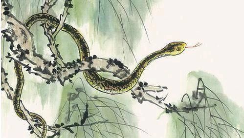 这三大生肖女,活到老被追到老,性格泼辣但是旺