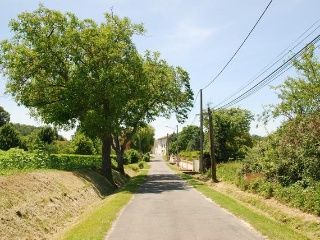 中国人停车一般都会回正方向,为啥美国人停车