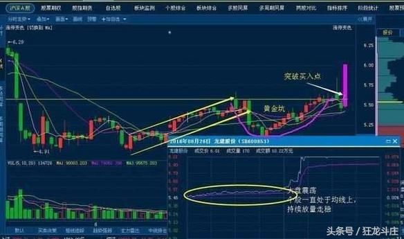 一篇文章告诉你,在中国股市你离高手有多