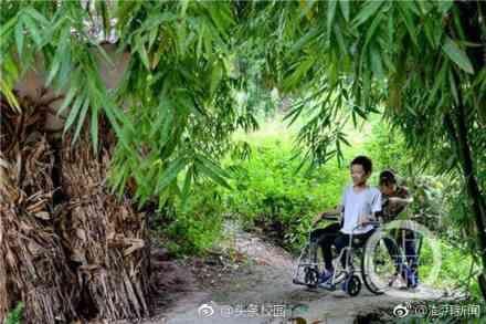 3岁患病14岁坐轮椅 高考670分被大学录取