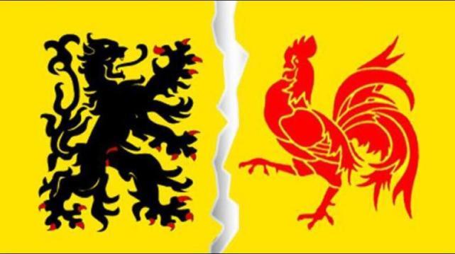 世界杯32强巡礼之比利时--欧洲红魔浴火归来