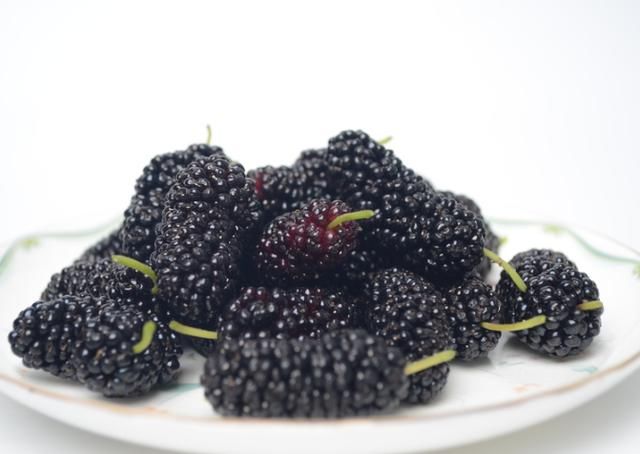 桑葚泡水喝有什么功效和作用,吃桑葚有什么禁