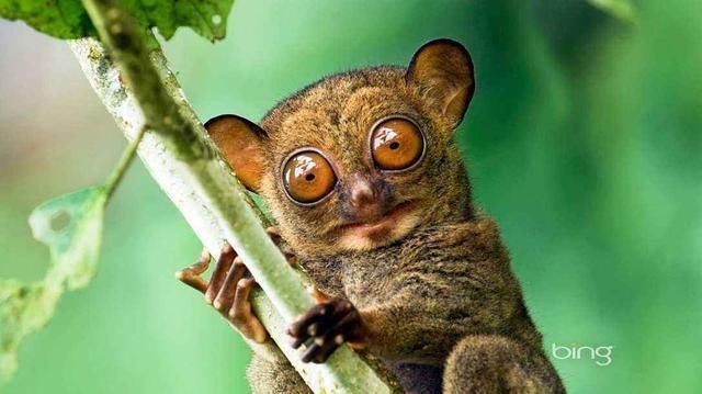 《前任3再见前任》女主林佳分手后去旅游的竟