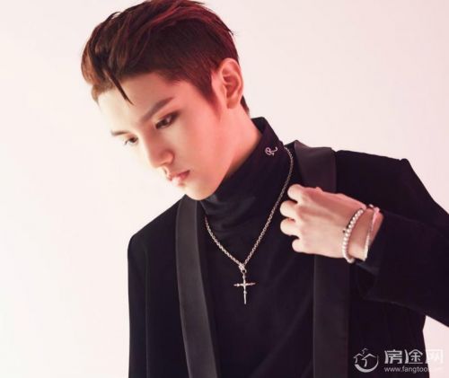 灵超DIDI个人资料年龄多大了 BC221练习生男
