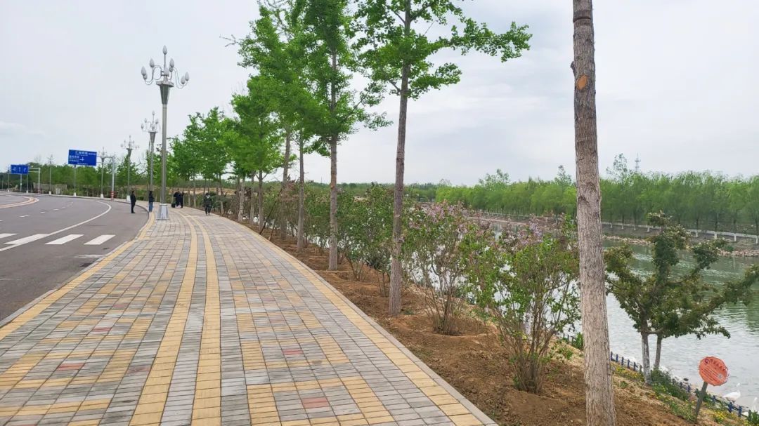 “未诉先办”添新绿！顺义区道路环境“细打扮”