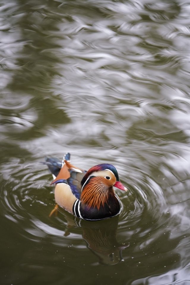 画质与性能并肩前行,索尼 A7R3 试用报告