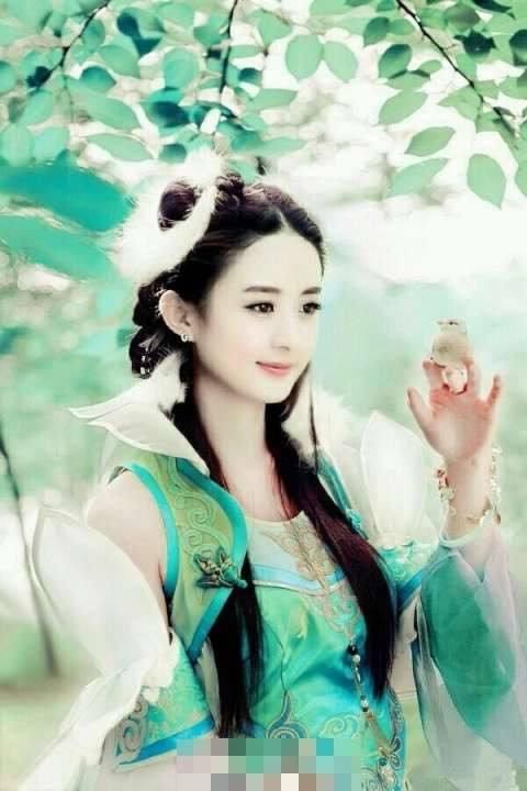 赵丽颖新剧未播先火 与男主相差12岁 网友:没眼