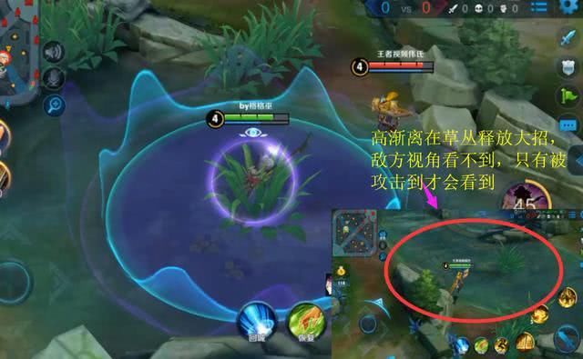 王者荣耀 当你蹲草丛释放技能的时候 你知道敌方会看到什么