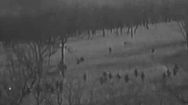 《档案》20200316血战林海雪原 捉拿“头号匪王”