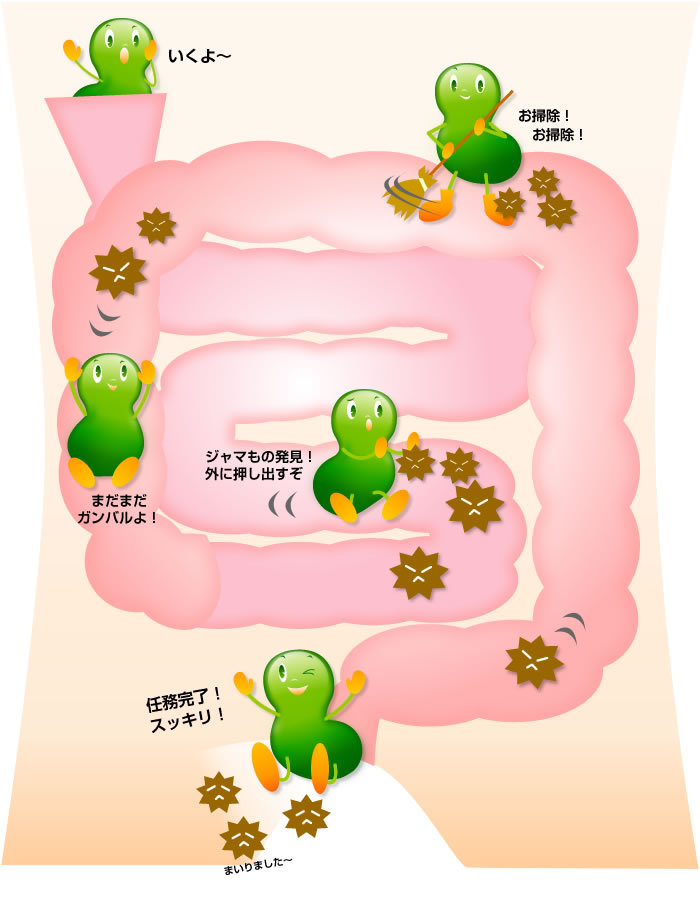杀死幽门螺杆菌生活中不要吃这些食物?