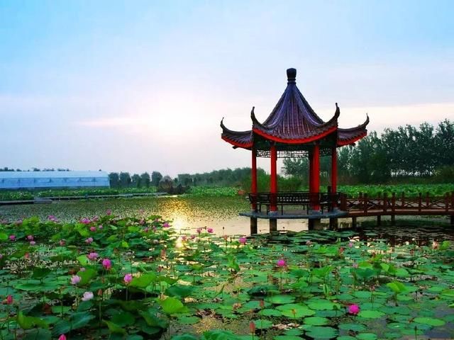 江苏唯一的四线城市,经济在其他省能排前三!但