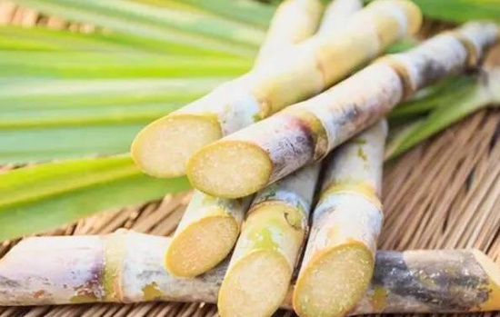 这10种食物看着健康全都不能吃!可致中毒身亡 这10种食物看着健康全都不能吃!可致中毒身亡