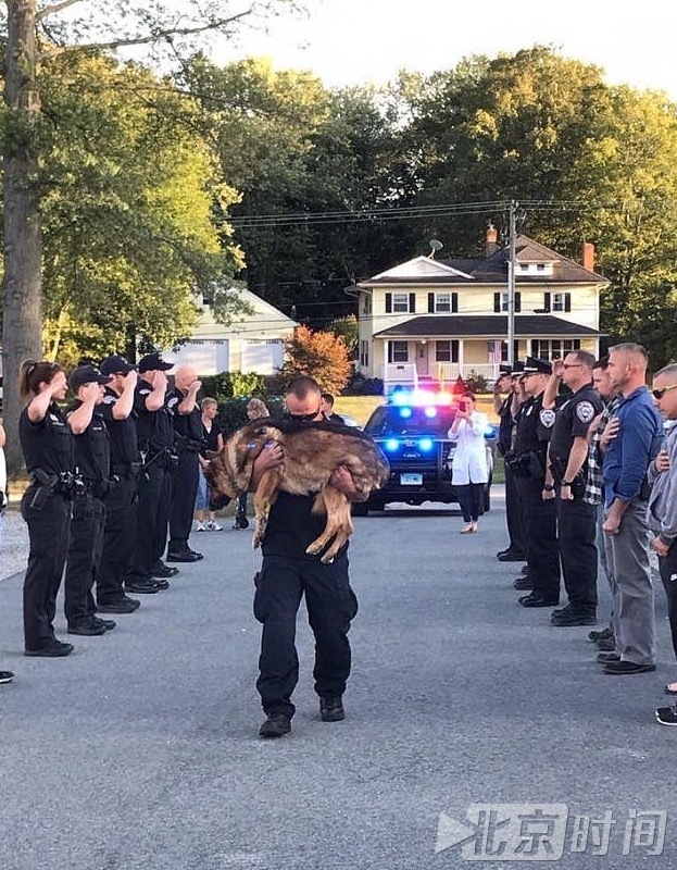 警犬患癌去世 警察局全体出动为它送行 警犬患癌去世 警察局全体出动为它送行